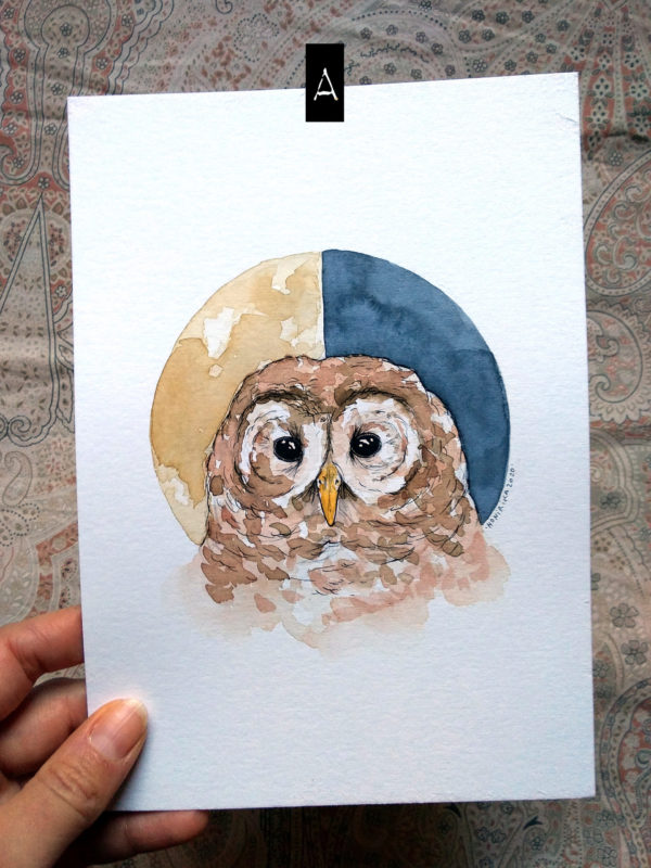 La chouette et les quartiers de Lune – Image 2