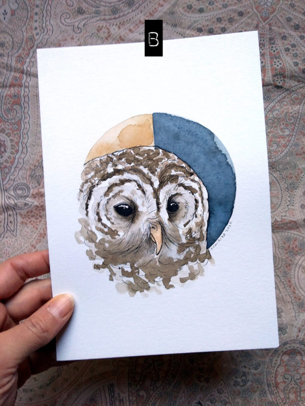 La chouette et les quartiers de Lune – Image 3