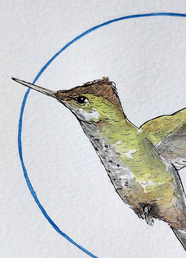 "La liberté du Colibri" – Image 3
