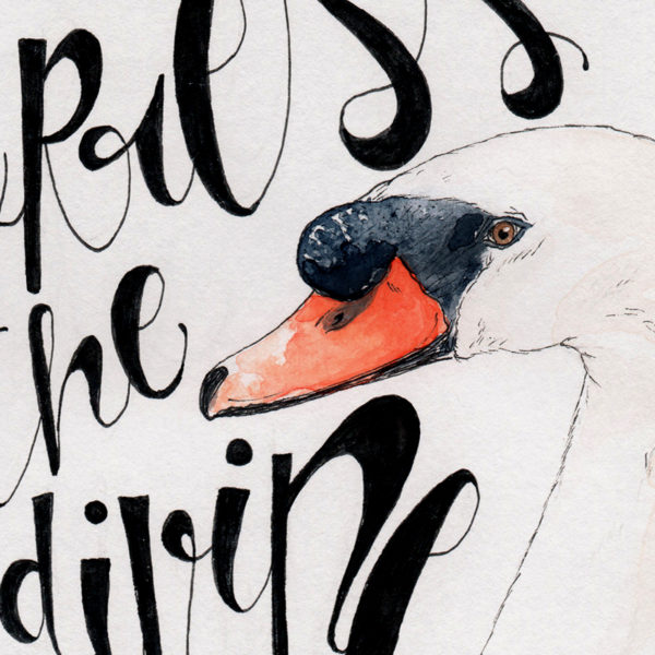 Cygne Animal Totem "Express the divine" – Image 3