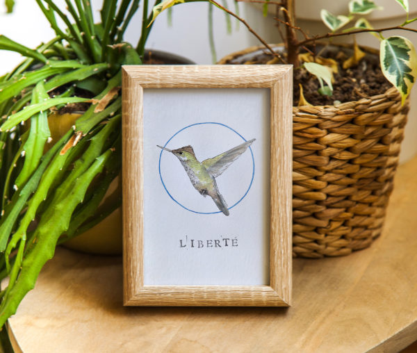 "La liberté du Colibri"