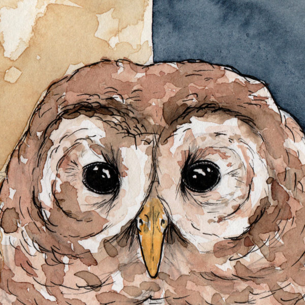 La chouette et les quartiers de Lune – Image 7