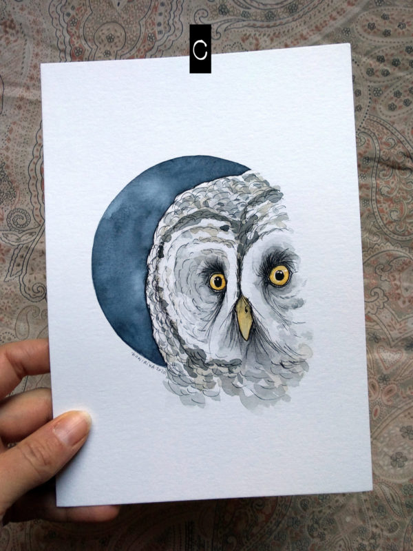 La chouette et la nouvelle Lune – Image 4
