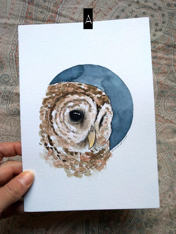 La chouette et la nouvelle Lune – Image 2