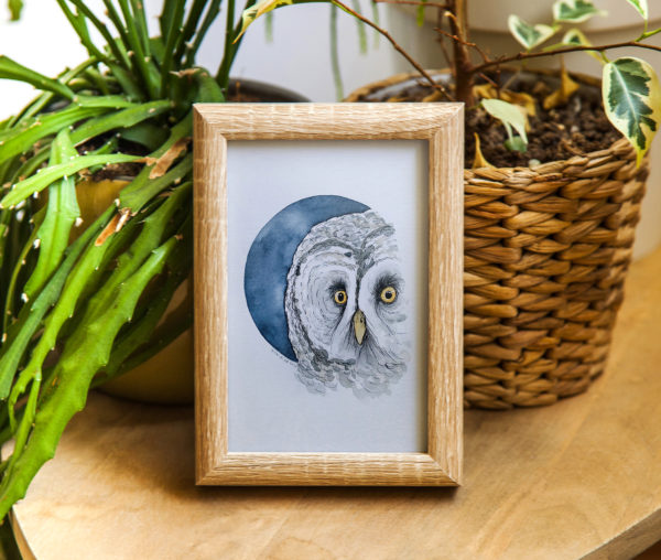 La chouette et la nouvelle Lune